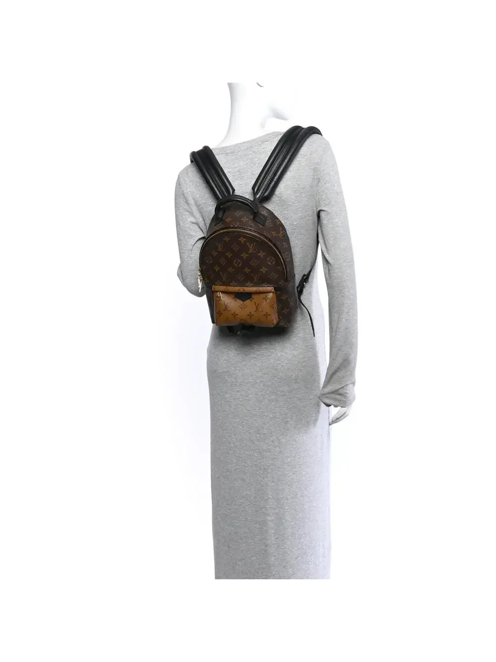 Louis Vuitton Reverse Palm Springs #322636L13B